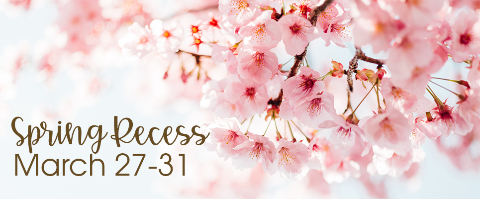 Spring Recess 2023, March 27-31, Cherry blossoms